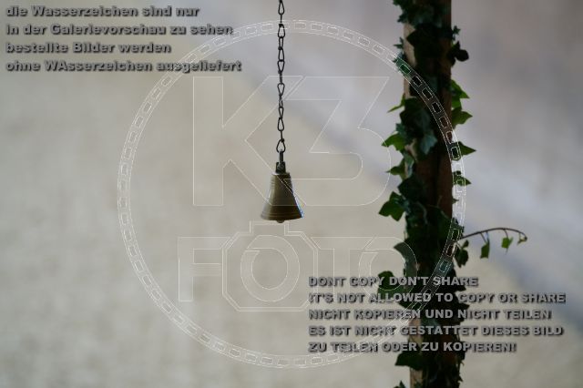 s_K3F00013.JPG